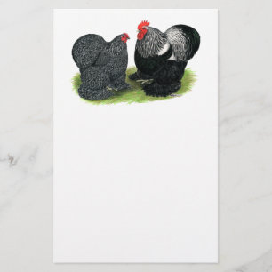 Cochins: Silver-pencid Brevpapper