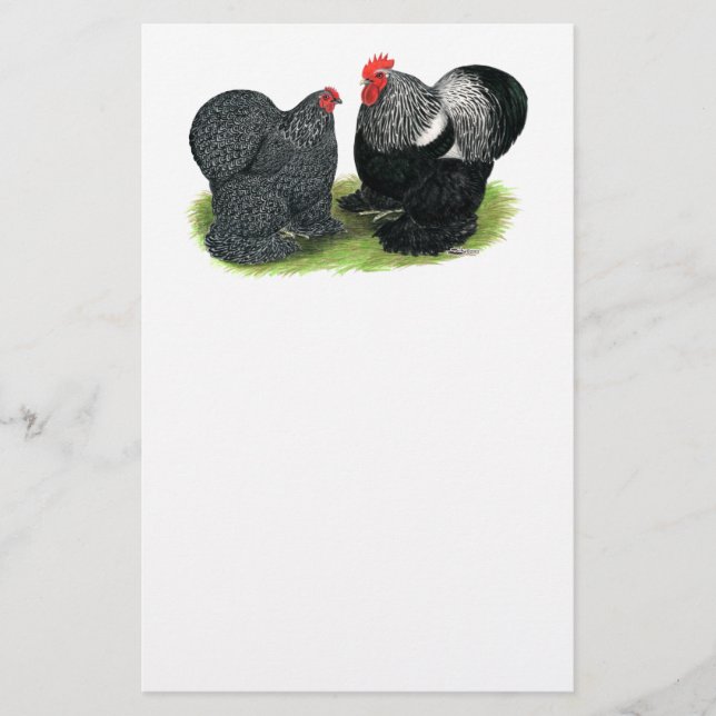 Cochins:  Silver-pencid Brevpapper (Framsida)