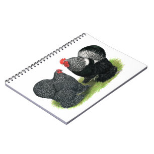 Cochins: Silver penciled Anteckningsbok Med Spiral