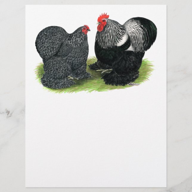 Cochins: Silver penciled Reklamblad (Framsidan)