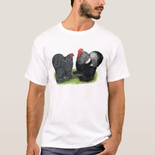 Cochins: Silver penciled Tee
