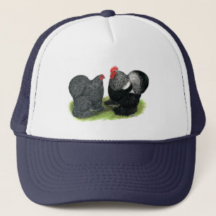 Cochins: Silver penciled Truckerkeps