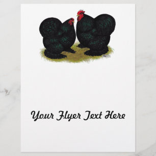 Cochins Svart Bantampar Reklamblad