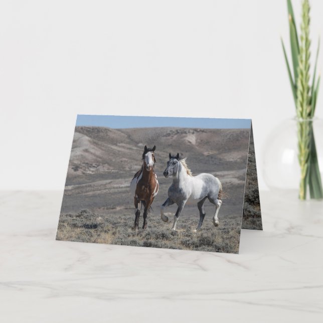 Cochise and Sky Dancer Greeting Card Inbjudan (Framsida)