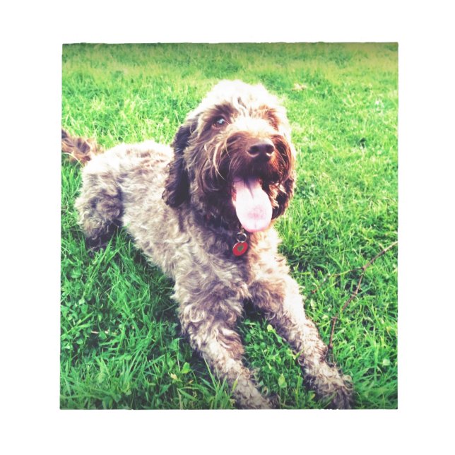 Cockapoo Anteckningsblock (Framsida)