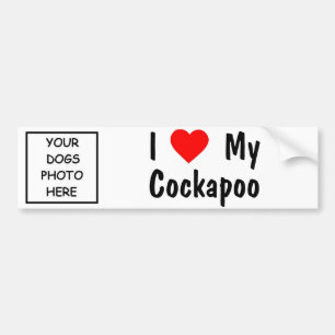 Cockapoo Bildekal