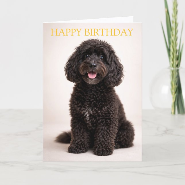 Cockapoo Birthday Card Cute Dog Minimal Design Kort (Framsida)
