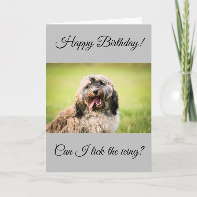 Cockapoo Birthday Card Kort (Framsida)