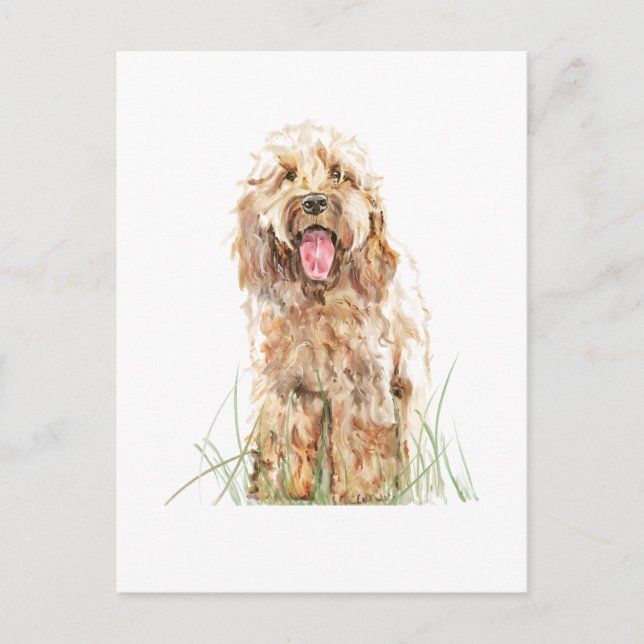 Cockapoo Dog Postcard – Watercolor Pet Art Vykort (Framsida)