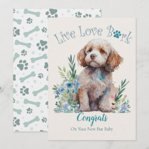 Cockapoo Hund Adoption, Gotcha Dag Kort