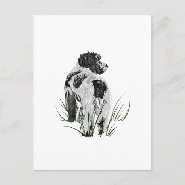 Cockapoo Hund, Akvarell vykort (Framsida)