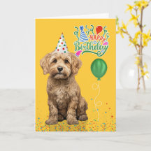 Cockapoo Hund Födelsedagsfest Hatt Gul Födelsedag