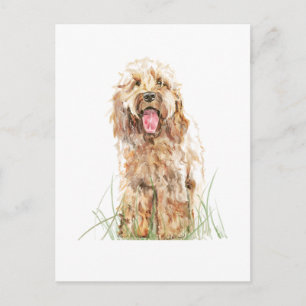 Cockapoo Hund Postkort – Akvarell Djur Konst Vykort