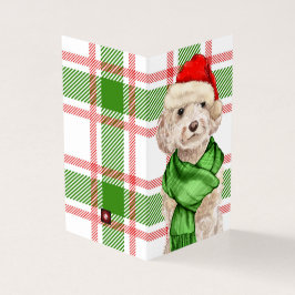 Cockapoo-Hund Red and Grönt Play Helgdag Kort