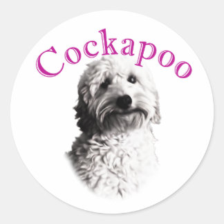 Cockapoo Hund Runt Klistermärke