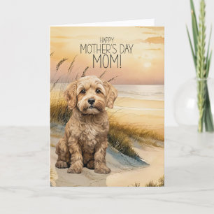 Cockapoo Hund Solnedgång Strand Mors Dag Helgkort