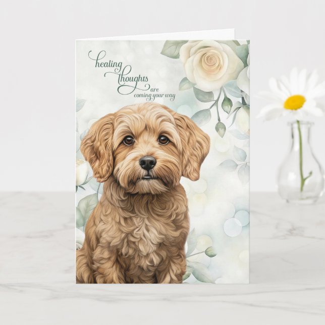 Cockapoo Hund Vita Rosor och Salvia Grön Återhämtn Kort (Liten växt)