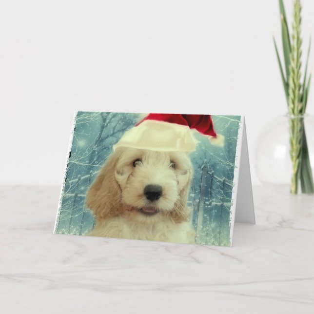 Cockapoo jul kort (Framsida)