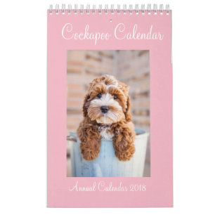 Cockapoo kalender 2018
