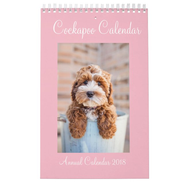 Cockapoo kalender 2018 (Omslag)