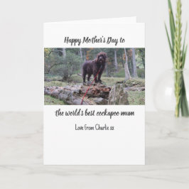 Cockapoo Mors dag Card Tack Kort