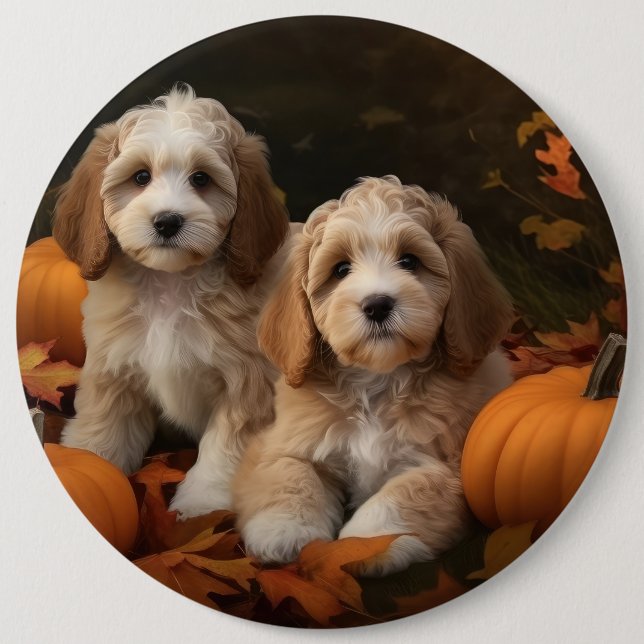 Cockapoo Puppy Autumn Delight Pumpkin Knapp (Framsida)