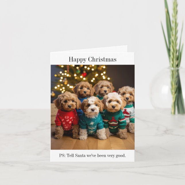 Cockapoo Puppy Litter-julkort Kort (Framsida)