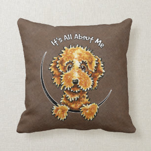 Cockapoo solbränd IAAM Kudde