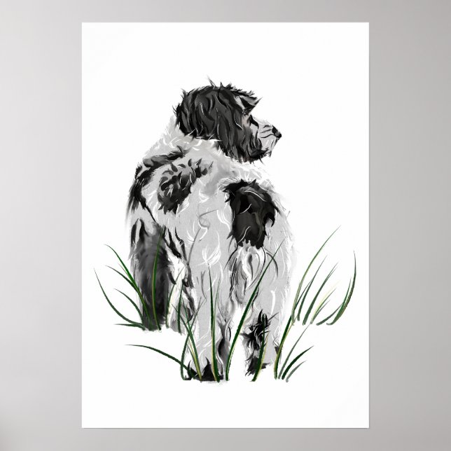 Cockapoo Väggkonst Affisch, Hund Heminredning (Framsidan)