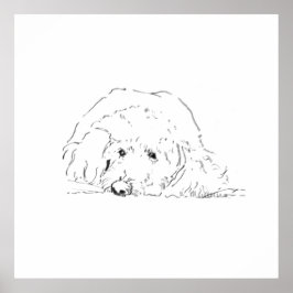Cockapoo Valp Affisch, Presentidéer för hundälskar Poster