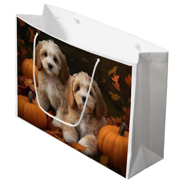 Cockapoo Valp Höstglädje Pumpa (Framsidan Vinklad)