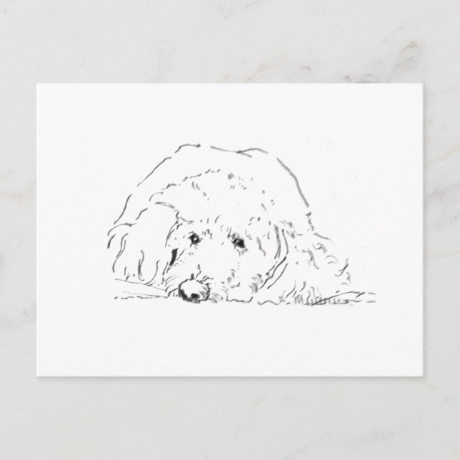 Cockapoo-valp, presentidéer till hundälskare vykort (Framsida)