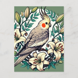 Cockatiel Bird Illustration Vykort