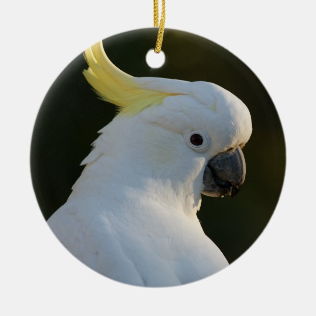 Cockatiel Bird Julgransprydnad Keramik (Framsidan)