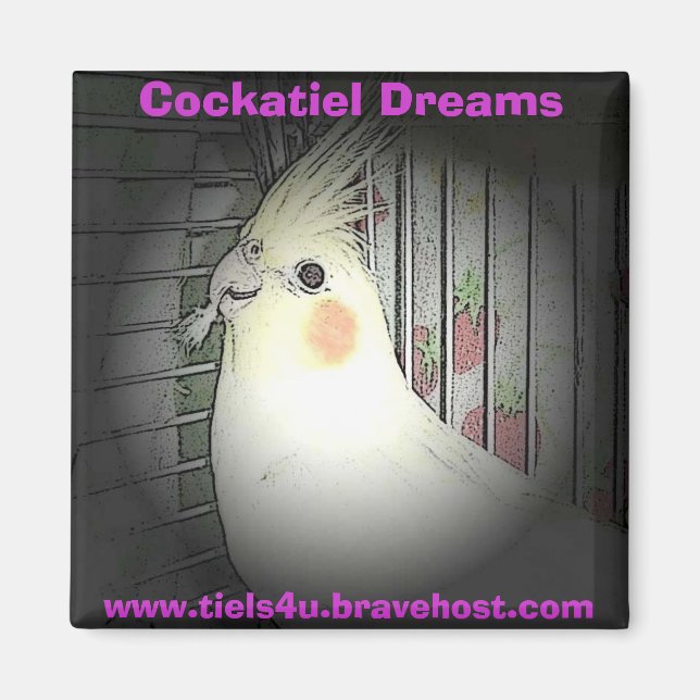 Cockatiel Dreams magnet (Framsidan)
