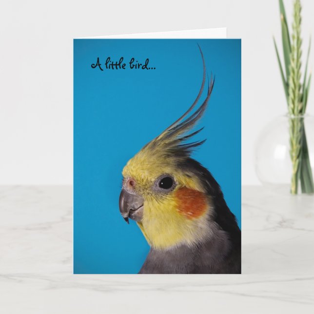 Cockatiel för A fågel lite… Kort (Framsida)