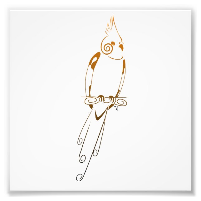 Cockatiel Fototryck (Framsidan)