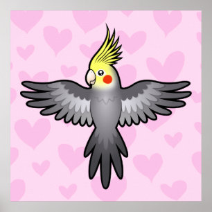 Cockatiel Kärlek Poster