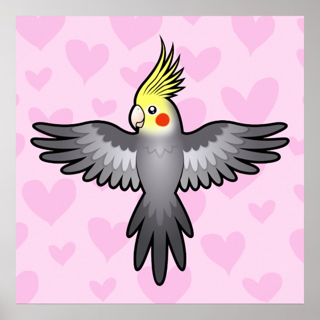 Cockatiel Kärlek Poster (Framsidan)