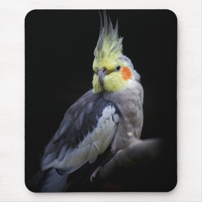 Cockatiel Mousemat Musmatta (Framsidan)