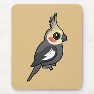 Cockatiel Musmatta
