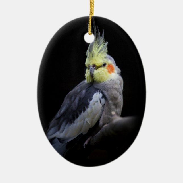 Cockatiel Ornament (Framsidan)