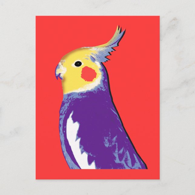 Cockatiel Pop Art Vykort (Framsida)