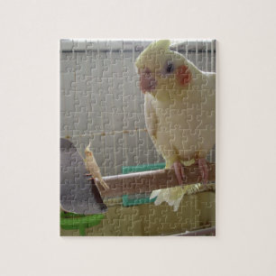 Cockatiel-Roligt Pussel