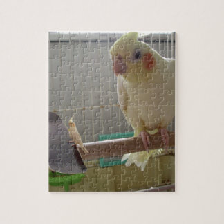Cockatiel Roligt Pussel