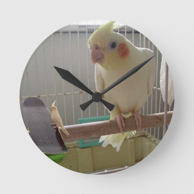 Cockatiel-Roligt Rund Klocka (Framsida)