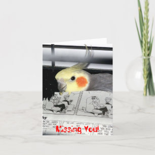 Cockatiel-Saknad dig Kort