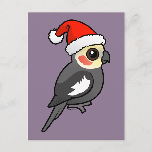 Cockatiel Santa Helg Vykort (Framsida)