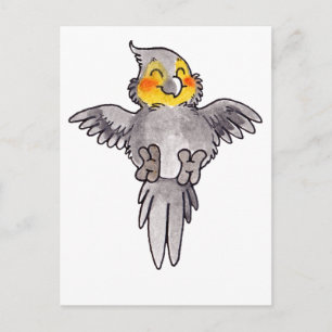 Cockatiel Vykort