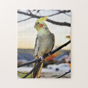 Cockatielen profilerar fotograferar pussel